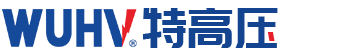 武漢特高壓電力科技有限公司